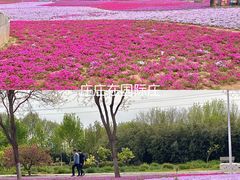-石家庄市植物园