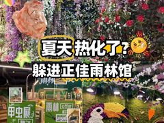 -正佳雨林生态植物园