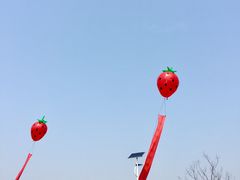 -大金山风景区
