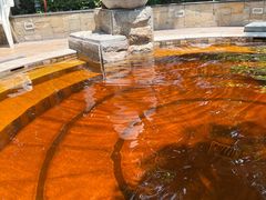 -碧水湾温泉