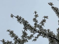 -南开大学(津南校区)