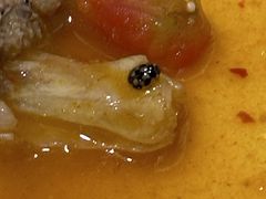 -小句号·精致料理(江南环球港店)