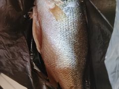 -北京清河镇农副产品交易市场中心