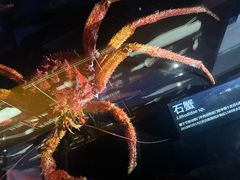 -同济大学四平路校区深海探索馆