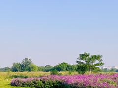 -汉长安城未央宫国家考古遗址公园