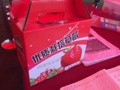 -小鱼草莓采摘园农家乐·小鱼餐厅