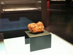 -呼和浩特博物馆
