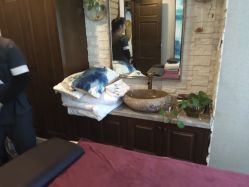 -青青一生美皮肤管理