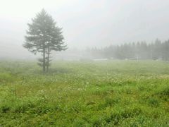 -驼梁风景区