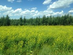 iphone_upload_pic-塞罕坝国家级自然保护区