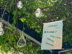 -嘉善老市