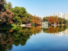 -荔湾湖公园