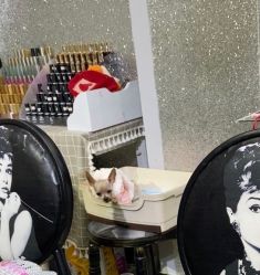 -LEILEI NAIL蕾蕾美甲美睫