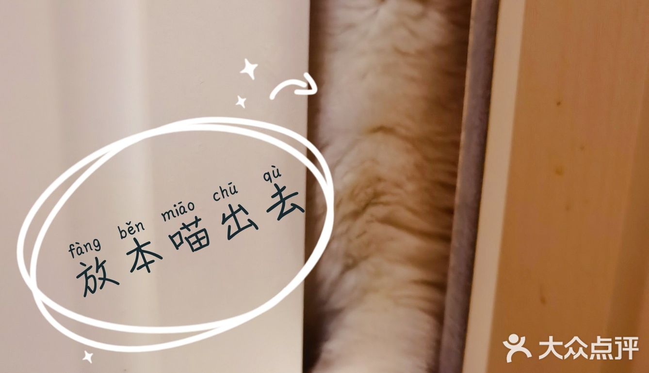 泡泡糖的日常——禁闭篇
