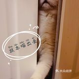 泡泡糖的日常——禁闭篇