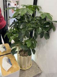 -LJOY丽锦造型·烫发染发