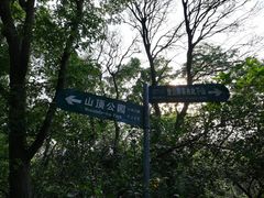 -紫金山山顶公园