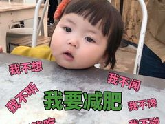 -丽莎蓓甜CAKE生日蛋糕·动物奶油(石家庄店)