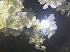 -洛佩塔蛋糕