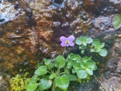 -宁波五龙潭景区