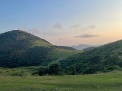 -大姆山草场