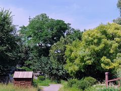 -莲花池公园