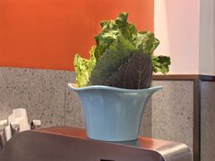 -揽月斋炙子烤肉·清真(安定门·五道营店)