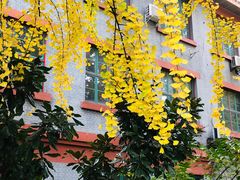 -四川大学(华西校区)