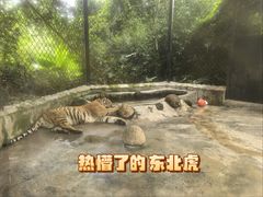 -海南热带野生动植物园