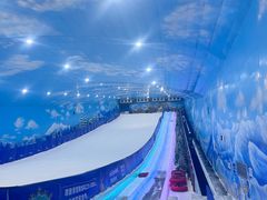 -世界之窗阿尔卑斯冰雪世界