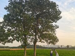 -汉长安城未央宫国家考古遗址公园