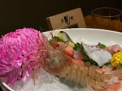 -月龍吟(朝龙汇店)