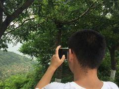 -怪坡茶馆