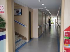 -喜多萌中农锦绣动物医院24H·猫科·牙科MRI·CT