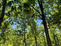 -阳台山自然风景区