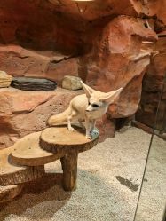 -Zoolung Zoolung动物主题公园(海信广场店)