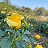 北京植物园 门票五块钱，便宜哭了