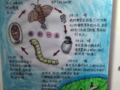 -上海昆虫博物馆