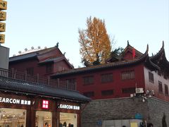 -不倒翁·安徽名菜楼(步行街店)