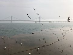 -星海广场