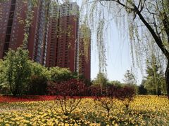 -迎泽公园