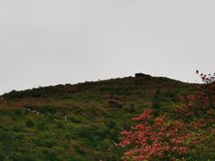 -大围山国家森林公园