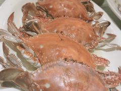 -味到1981日照海鲜·渔饺子