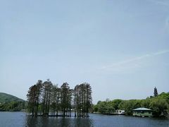 景观位-东湖食堂·湖景餐厅•会议