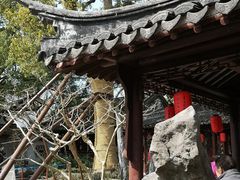 -上海醉白池公园