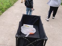 -前小桔亲子创意农场·草莓采摘·露营烧烤