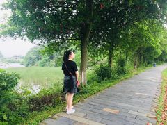 -象山森林公园