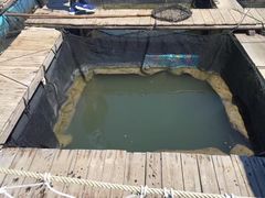 -海上驿站渔家菜馆