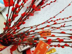 -双季花艺园艺市场(浦东店)