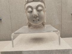 -平原博物院
